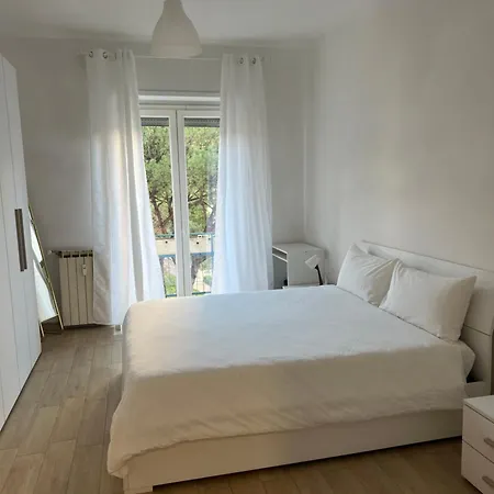 Dandon Home-2